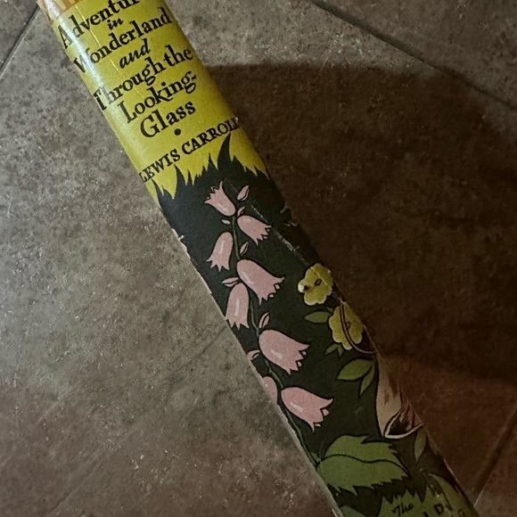 Alice in Wonderland & Through the Looking Glass vintage hardcover & dust jacket - Picture 2 of 8